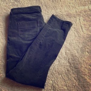 Patagonia fitted corduroys